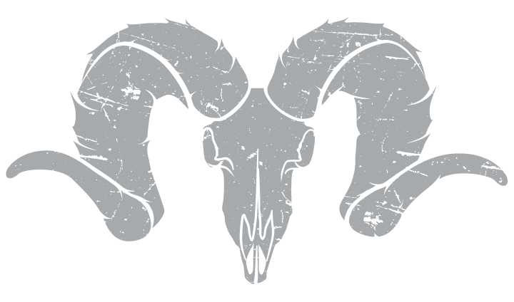 SMO_grayskullDistressed