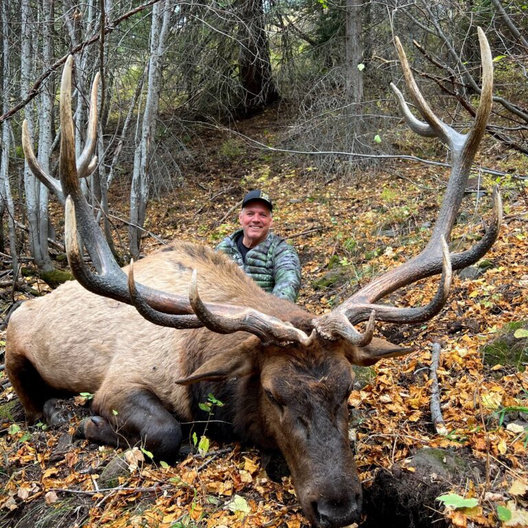 Elk